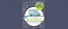 free transport trinibus 