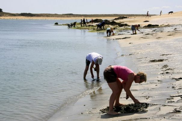 loic kersuzan - morbihan tourisme