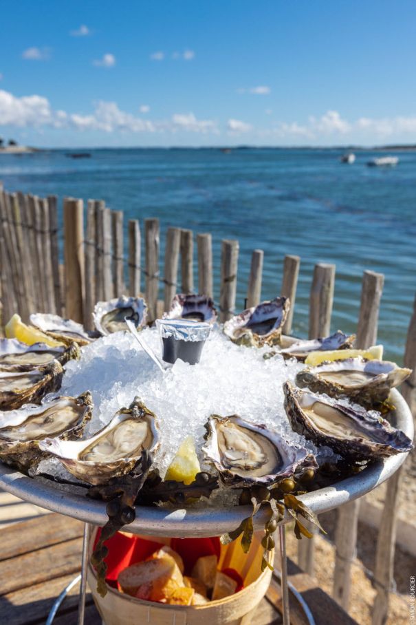 simon bourcier - oti baie de quiberon tourisme