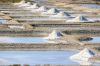 salt marshes © loic kersuzan - CRTB morbihan tourisme