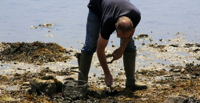 Shore fishing © Loïc Kersuzan - Morbihan Tourisme