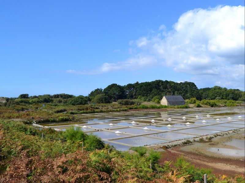 salt marshes of kervillen - la trinite sur mer