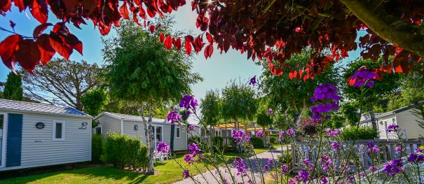 Arrivals & Departures – How it works