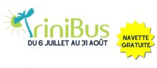 shuttle trinibus 2024 - free transport - la trinite-sur-mer