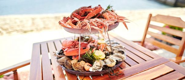 Favorites, good addresses, and experiences to live