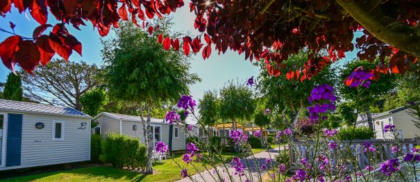 Mobile home prices and specials offers - Brittany holidays